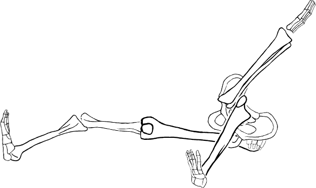Dem bones dem bones dem – dry bones!