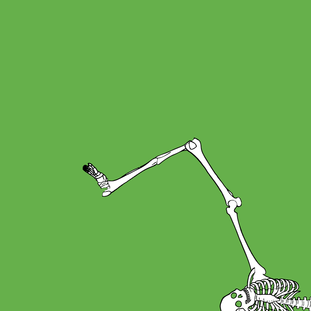 Dem bones dem bones dem – dry bones!