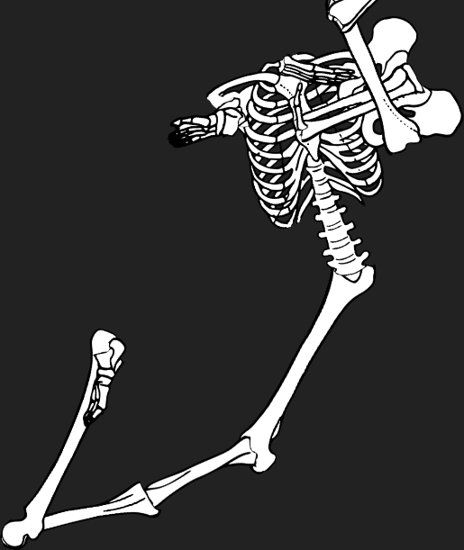 Dem bones dem bones dem – dry bones!