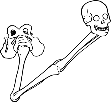 Dem bones dem bones dem – dry bones!