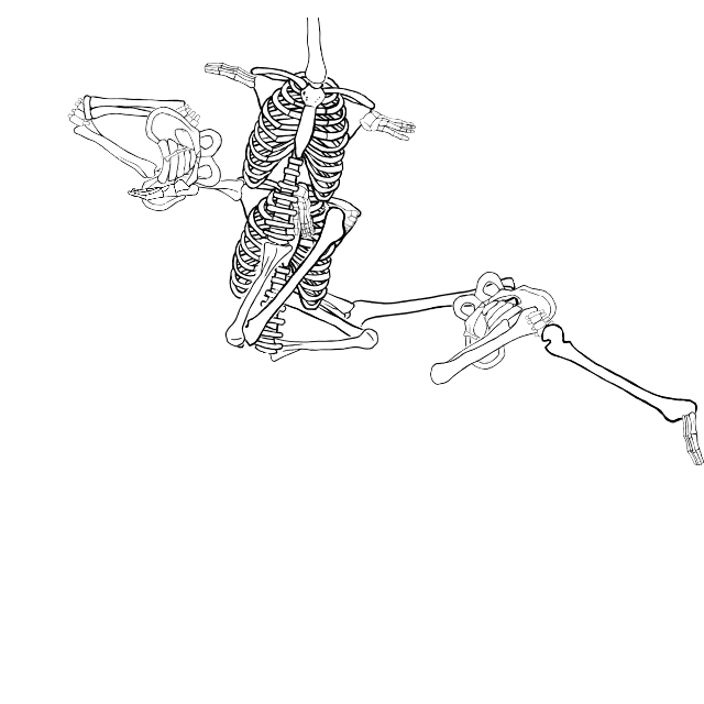 Dem bones dem bones dem – dry bones!