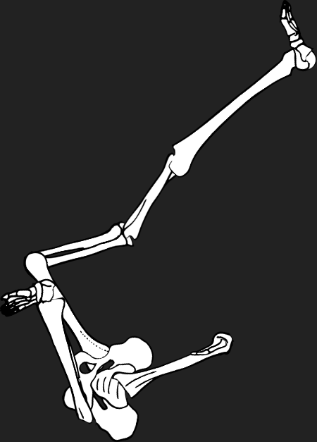 Dem bones dem bones dem – dry bones!