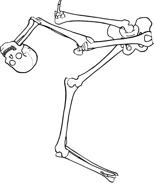 Dem bones dem bones dem – dry bones! Dem bones dem bones dem – extra bones!