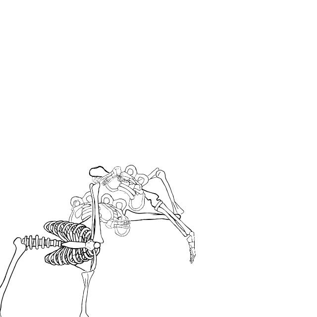 Dem bones dem bones dem – dry bones!