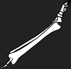 Dem bones dem bones dem – dry bones!