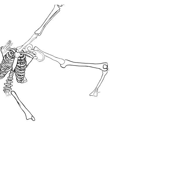 Dem bones dem bones dem – dry bones!