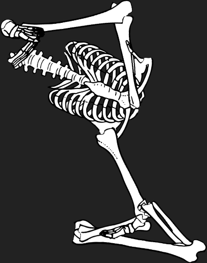 Dem bones dem bones dem – dry bones!