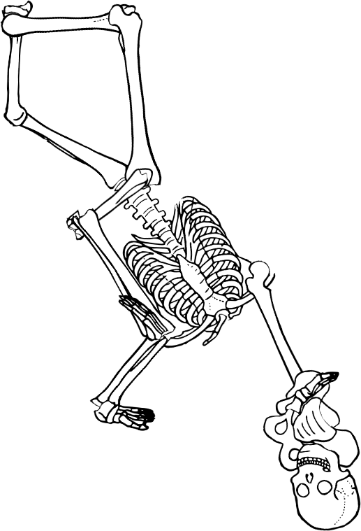 Dem bones dem bones dem – dry bones!
