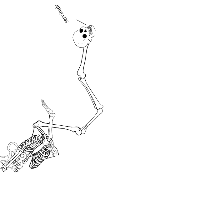 Dem bones dem bones dem – dry bones!