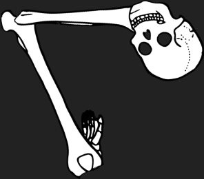 Dem bones dem bones dem – dry bones!