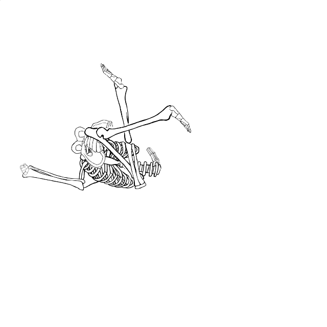 Dem bones dem bones dem – dry bones!