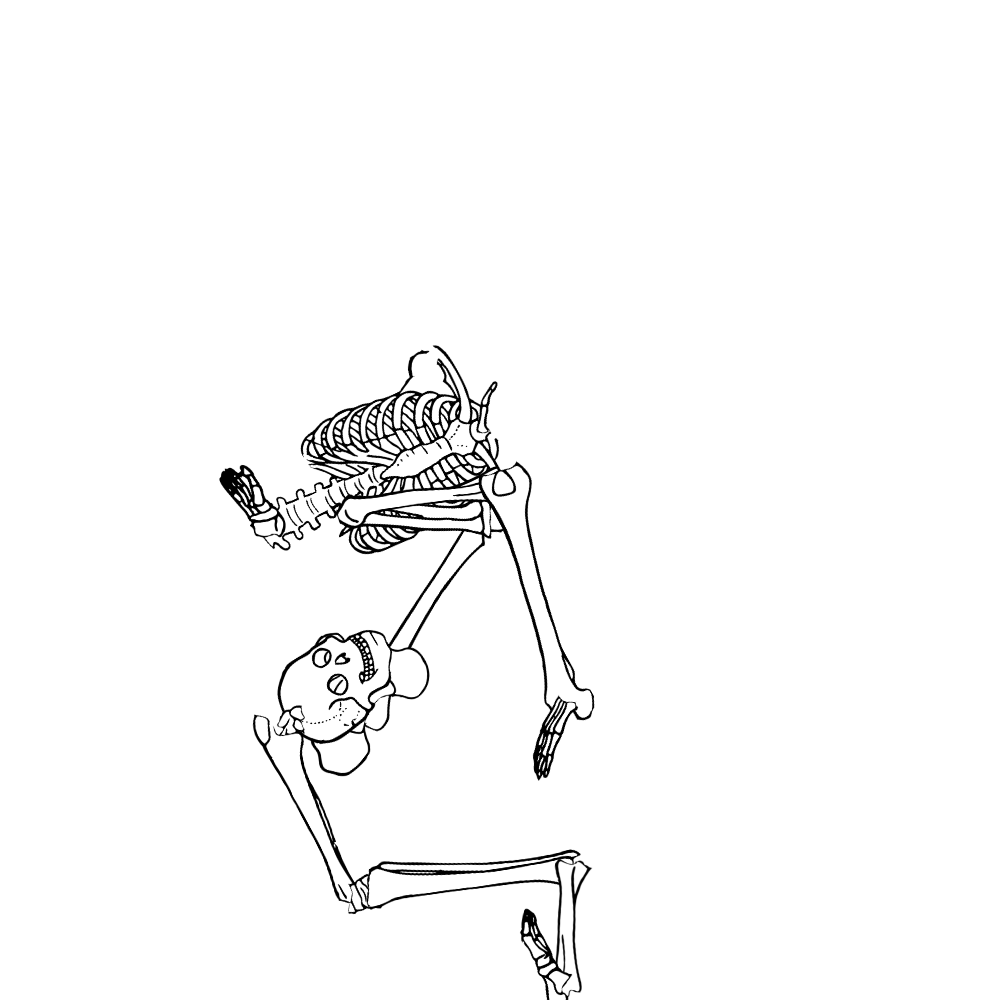 Dem bones dem bones dem – dry bones!
