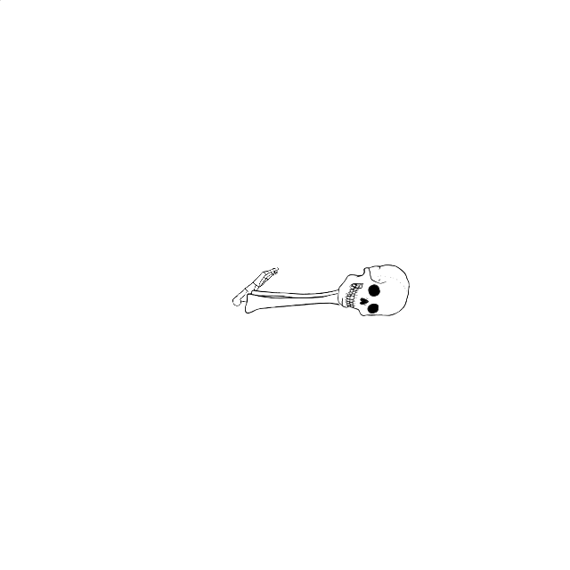 Dem bones dem bones dem – dry bones!