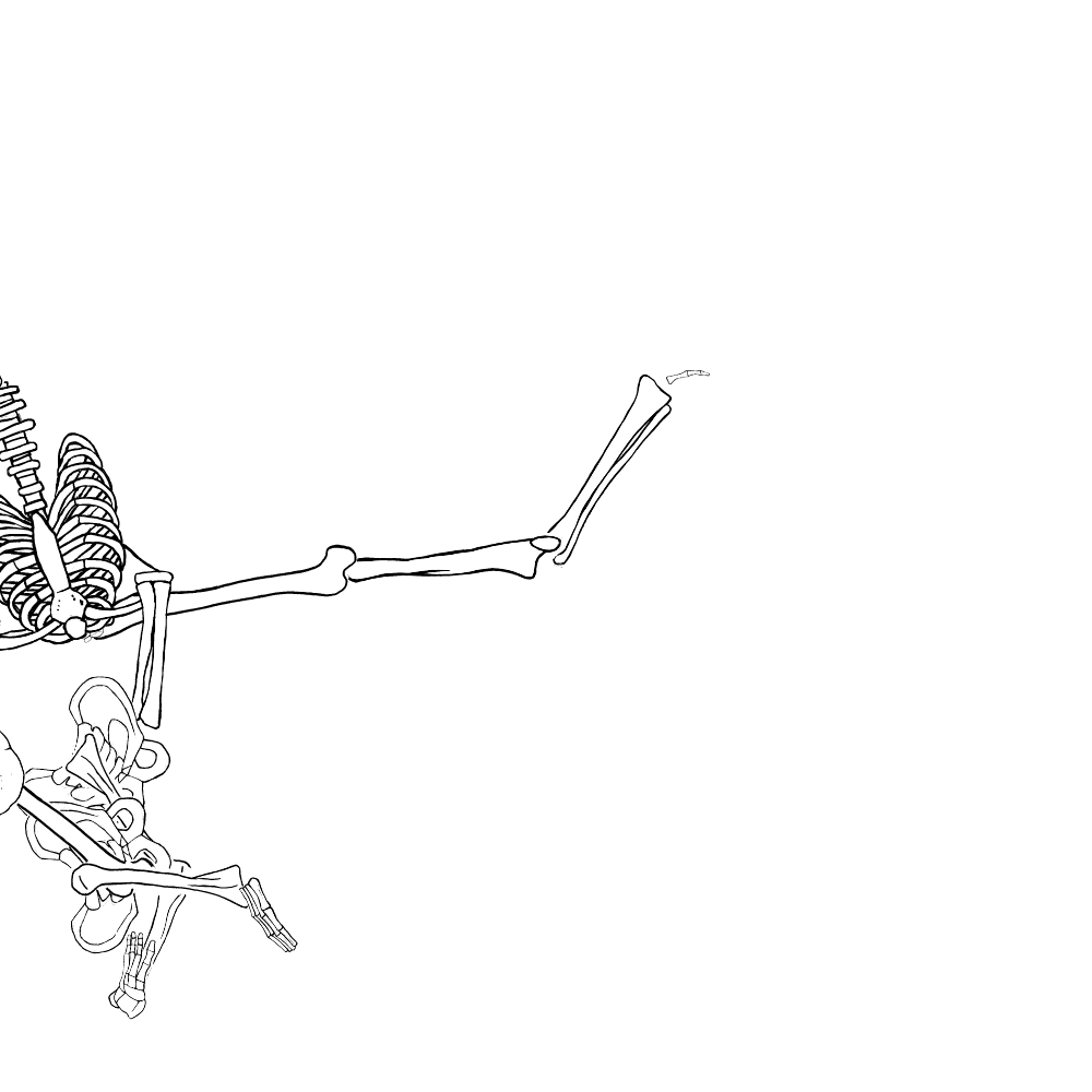 Dem bones dem bones dem – dry bones!