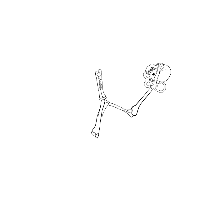 Dem bones dem bones dem – dry bones!