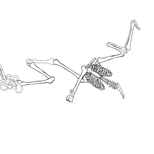 Dem bones dem bones dem – dry bones!