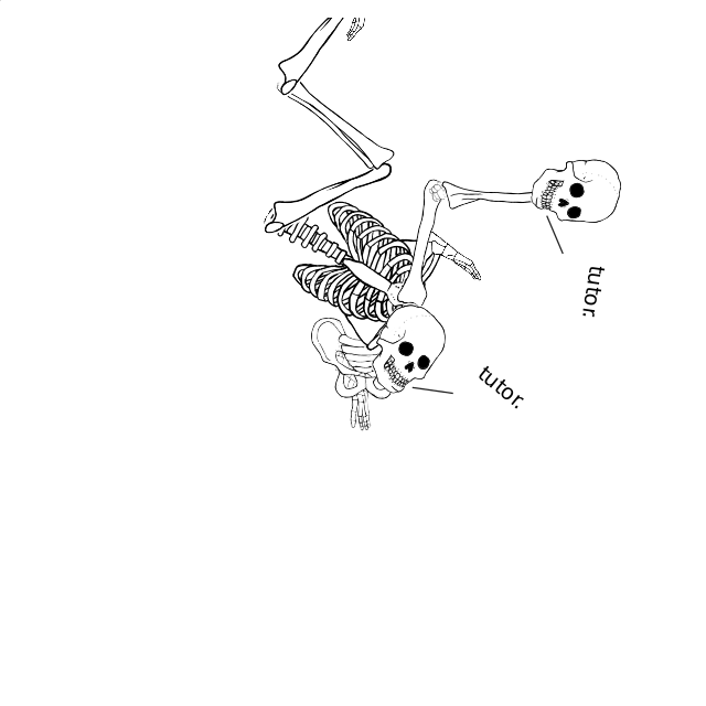 Dem bones dem bones dem – dry bones!