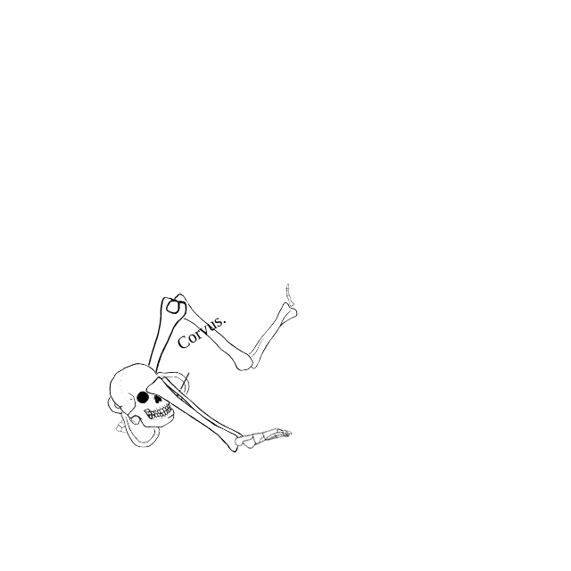 Dem bones dem bones dem – dry bones!