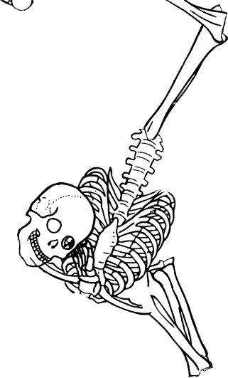 Dem bones dem bones dem – dry bones! Dem bones dem bones dem – extra bones!