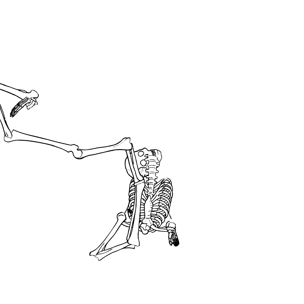 Dem bones dem bones dem – dry bones!