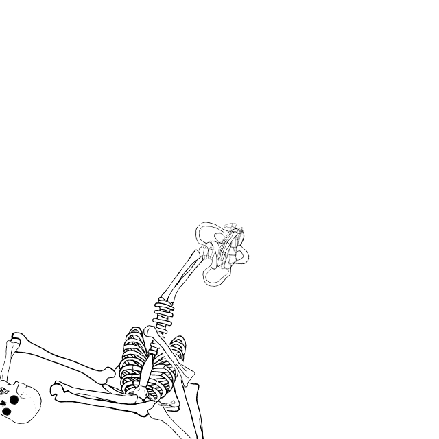 Dem bones dem bones dem – dry bones!