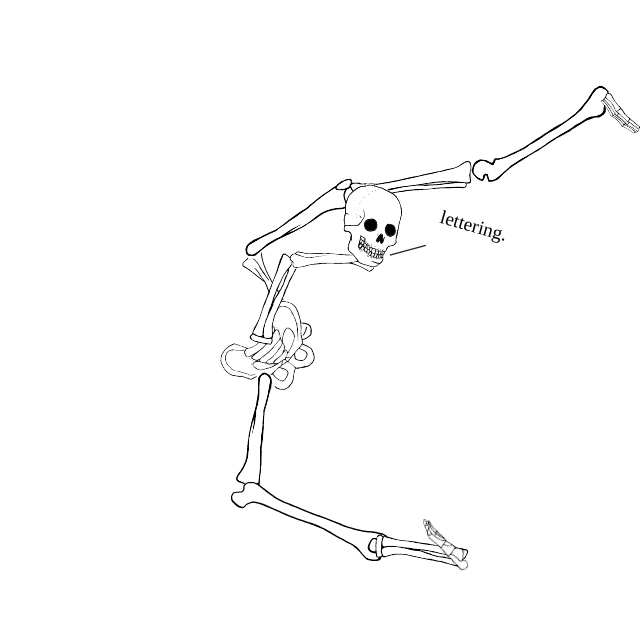 Dem bones dem bones dem – dry bones!