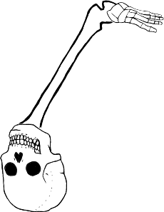 Dem bones dem bones dem – dry bones!