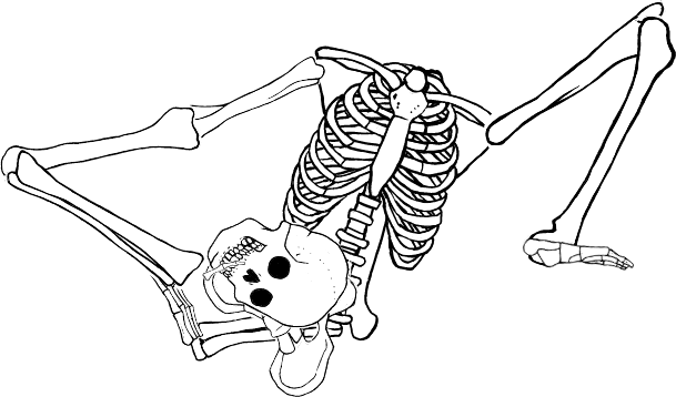 Dem bones dem bones dem – dry bones!