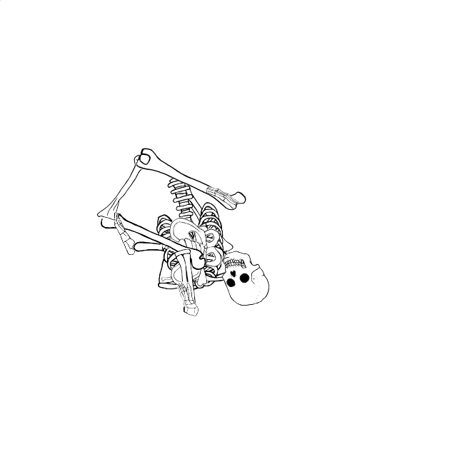 Dem bones dem bones dem – dry bones!