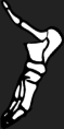 Dem bones dem bones dem – dry bones!