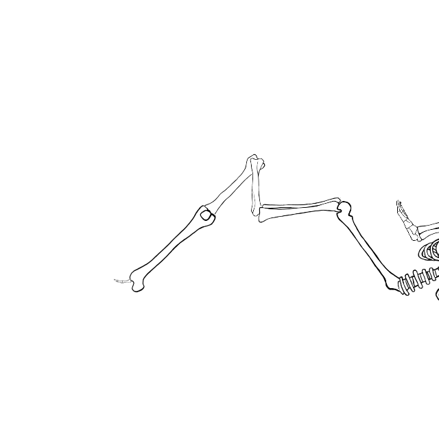 Dem bones dem bones dem – dry bones!