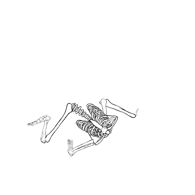 Dem bones dem bones dem – dry bones!