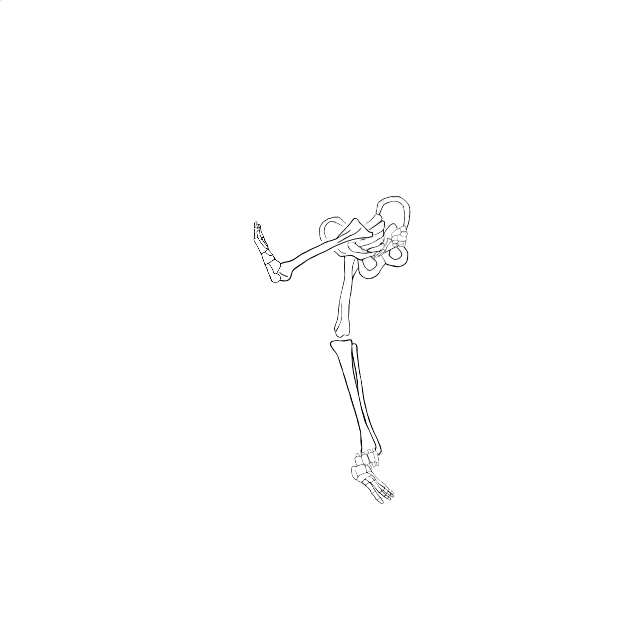 Dem bones dem bones dem – dry bones!