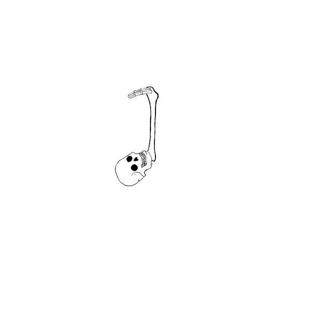Dem bones dem bones dem – dry bones!