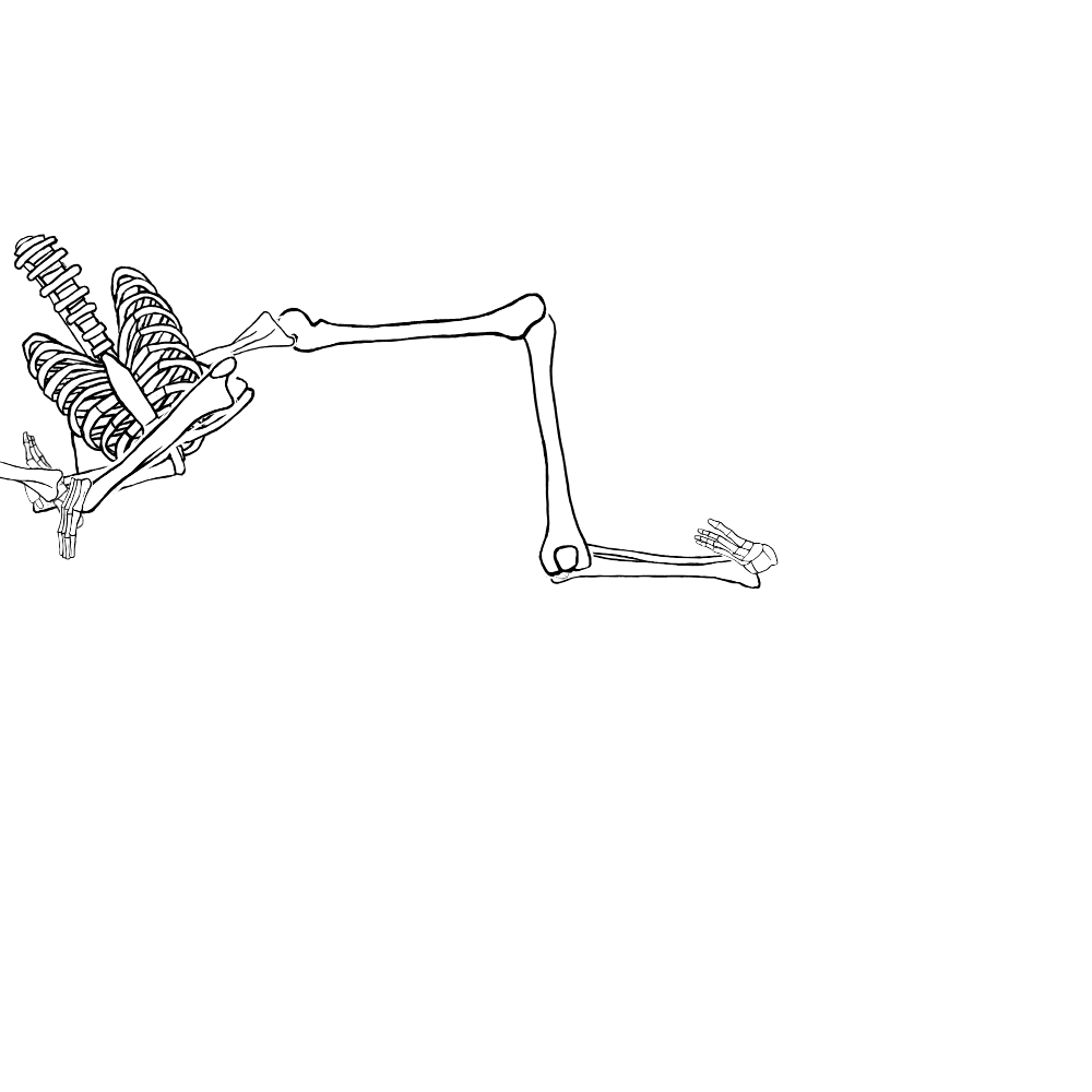 Dem bones dem bones dem – dry bones!