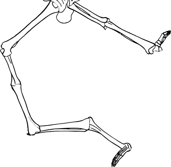 Dem bones dem bones dem – dry bones!