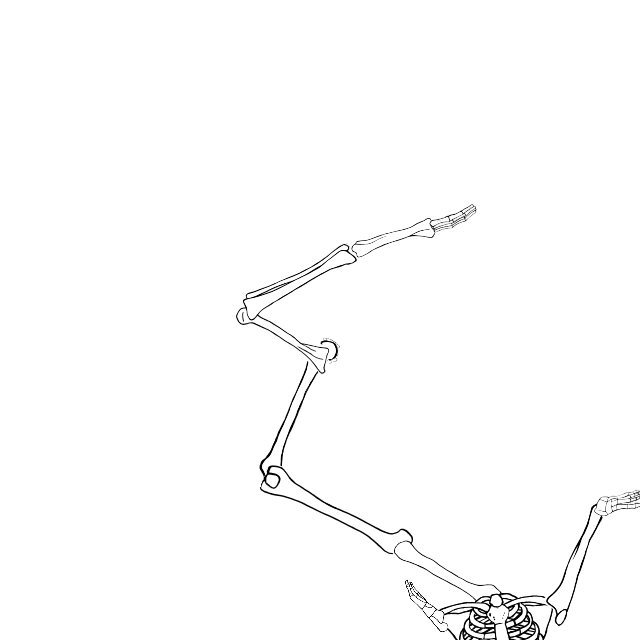 Dem bones dem bones dem – dry bones!