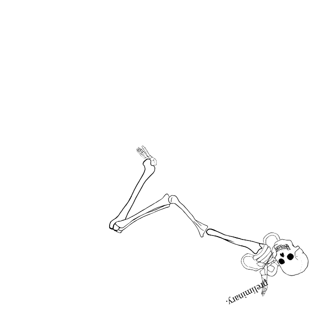 Dem bones dem bones dem – dry bones!