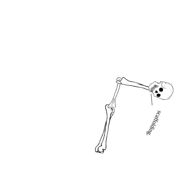 Dem bones dem bones dem – dry bones!
