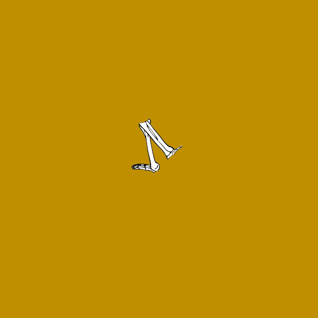 Dem bones dem bones dem – dry bones!