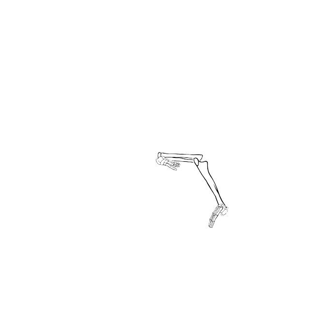 Dem bones dem bones dem – dry bones!