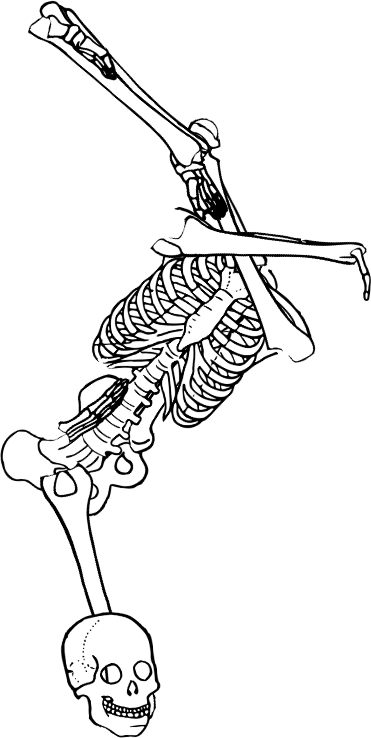 Dem bones dem bones dem – dry bones!