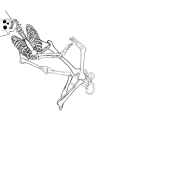 Dem bones dem bones dem – dry bones!