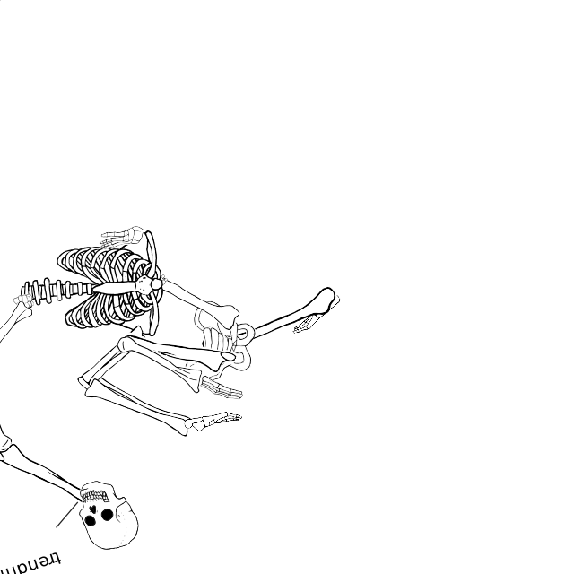 Dem bones dem bones dem – dry bones!