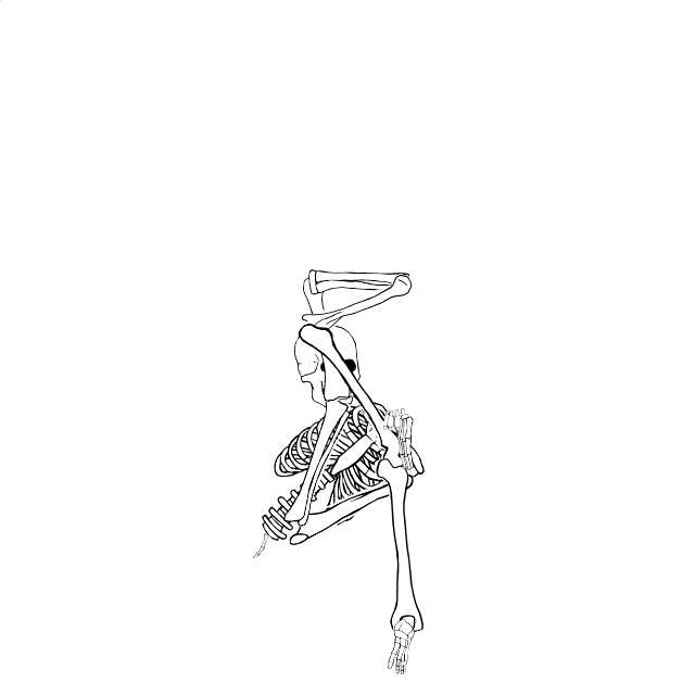 Dem bones dem bones dem – dry bones!