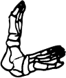 Dem bones dem bones dem – dry bones!