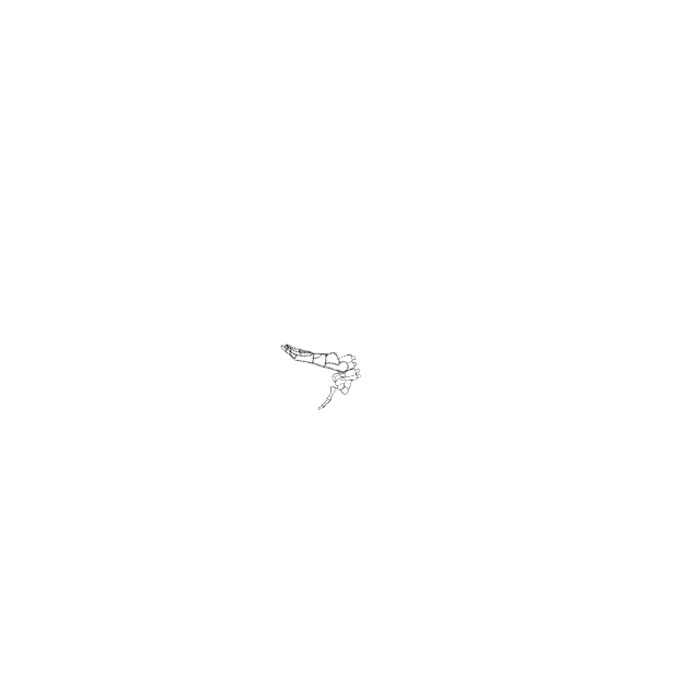 Dem bones dem bones dem – dry bones!