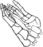 Dem bones dem bones dem – dry bones!