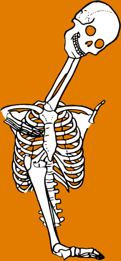 Dem bones dem bones dem – dry bones!