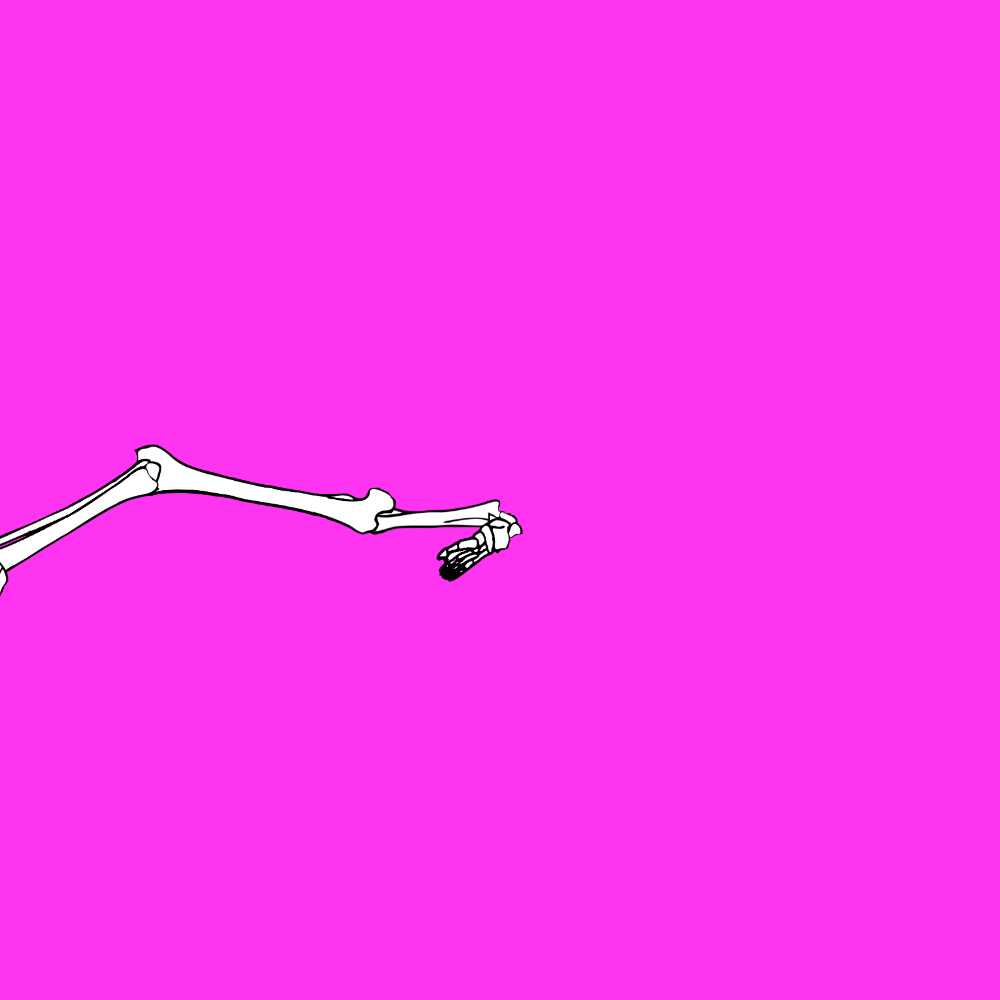 Dem bones dem bones dem – dry bones!